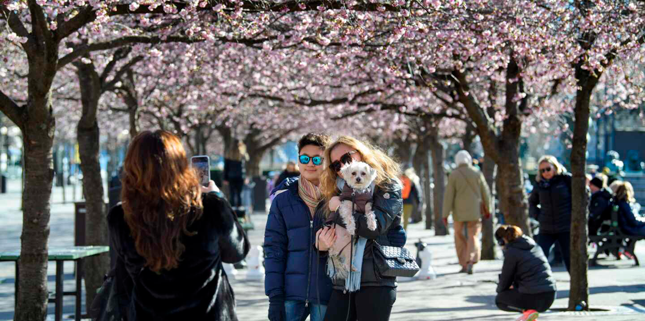 Personas se toman fotos en un parque de Suecia