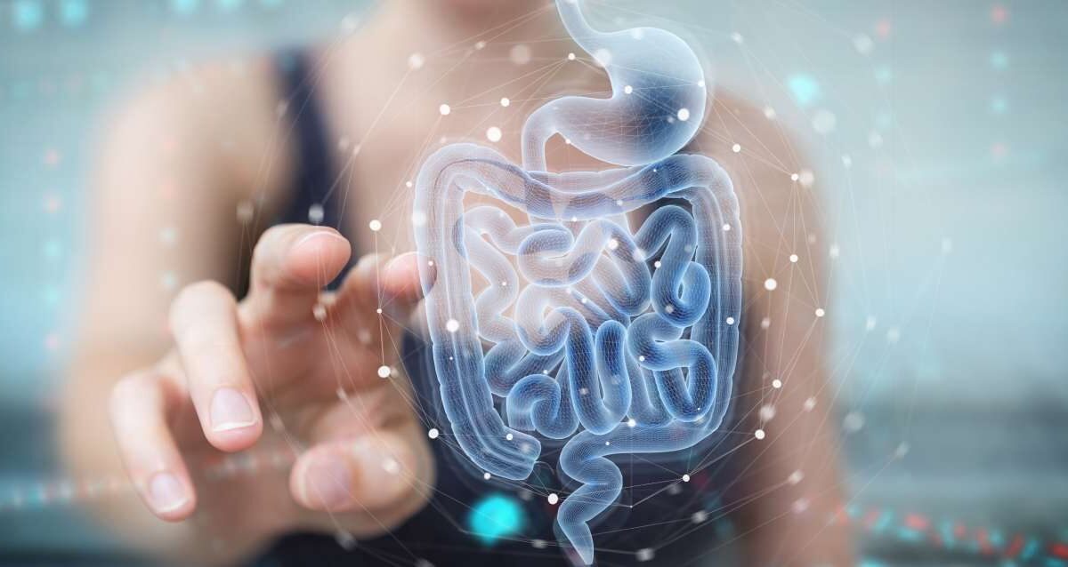 Reequilibrando el Microbioma: el papel vital de los probióticos en la salud