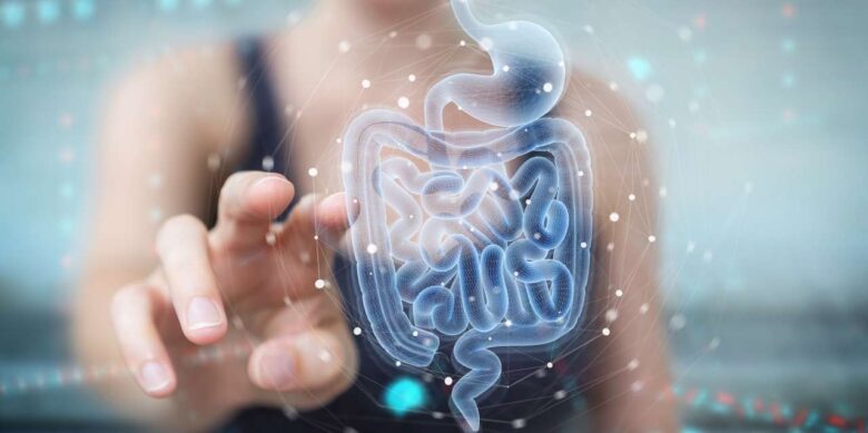 Reequilibrando el Microbioma: el papel vital de los probióticos en la salud