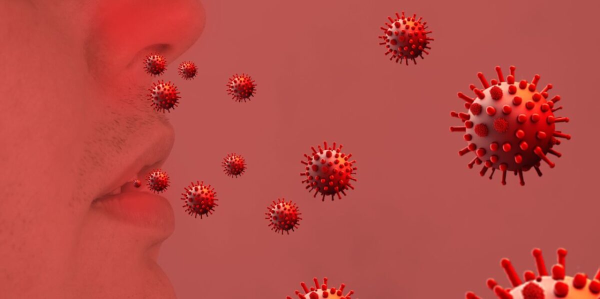 ¿Qué es el Virus Nipah?