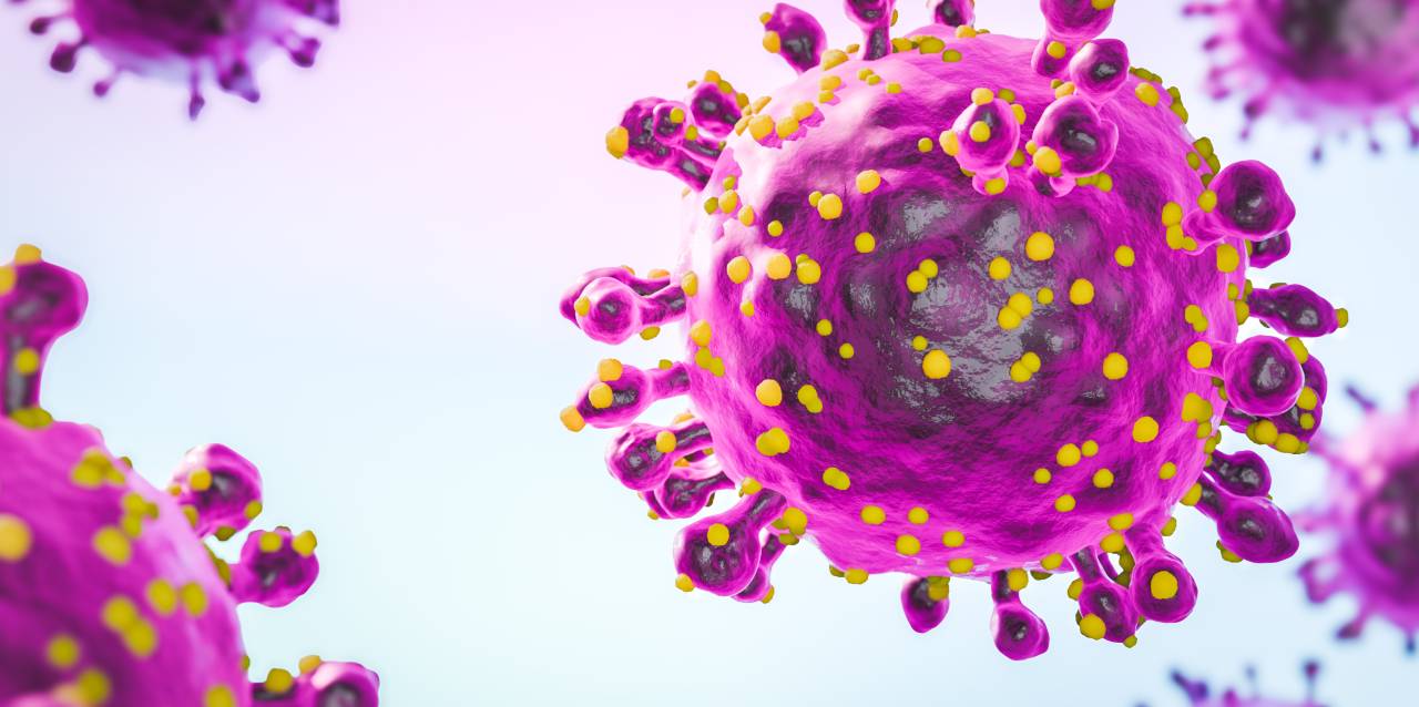 Oropouche en RD: El virus silencioso que debes conocer para cuidar de tu familia