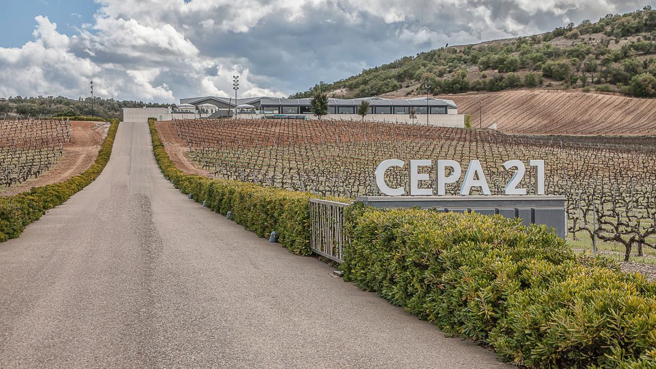 Desde su fundación, Cepa 21 se ha centrado en crear vinos de alta calidad con un estilo contemporáneo