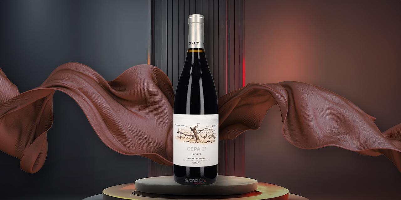 Un Viaje Sensorial por la Ribera del Duero