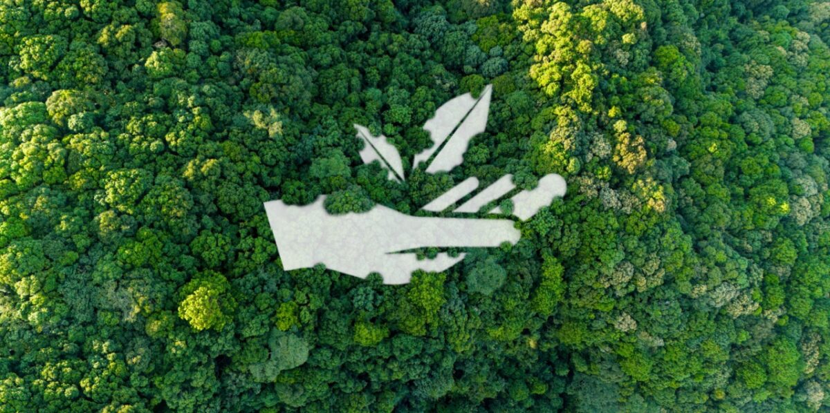 De la Selva al Mercado: Cómo la Amazonía Puede Liderar la Bioeconomía Mundial