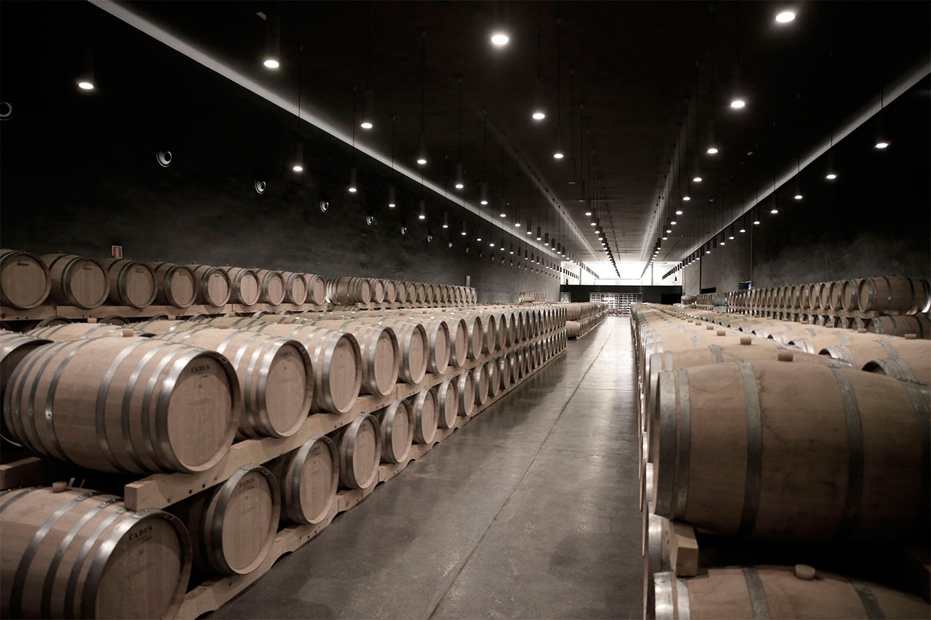 Cepa 21 es un vino con raíces en la tradición de Ribera del Duero, pero a la vez innovador.