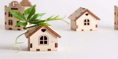Impulso verde en el sector inmobiliario: Los materiales ecológicos más usados en RD