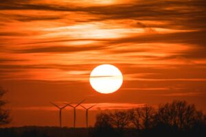 Alerta roja climática: 2024, el año más caliente en la historia 