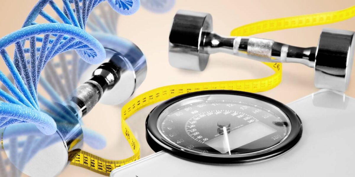 El secreto molecular del efecto yo-yo