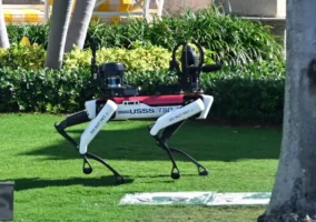 ¿Qué hacen perros robots patrullando la casa de Trump? 