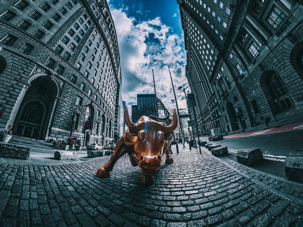 Wall Street Donald Trump (1)