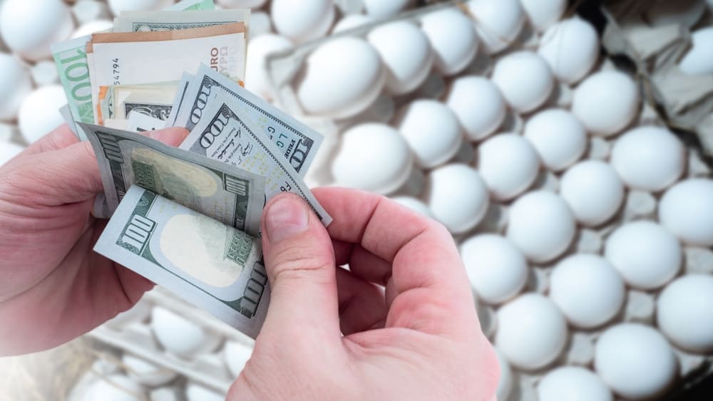Precio de los huevos Estados Unidos (1)