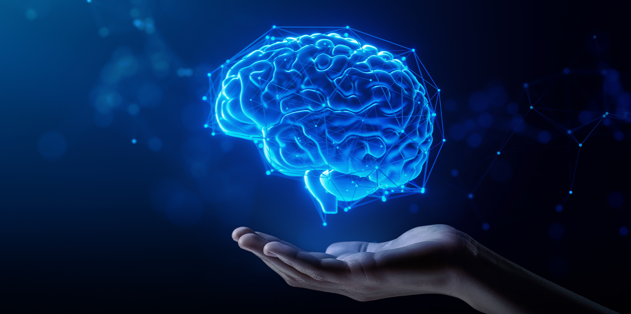 El 'slime' en tu cerebro: ¿un secreto contra el envejecimiento?