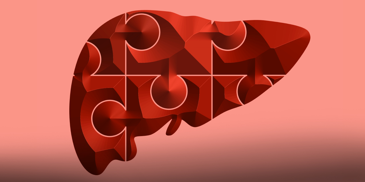 ¿Regeneración hepática? Este aminoácido podría ser la clave