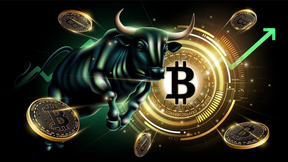 Bitcoin Mercado Alcista record