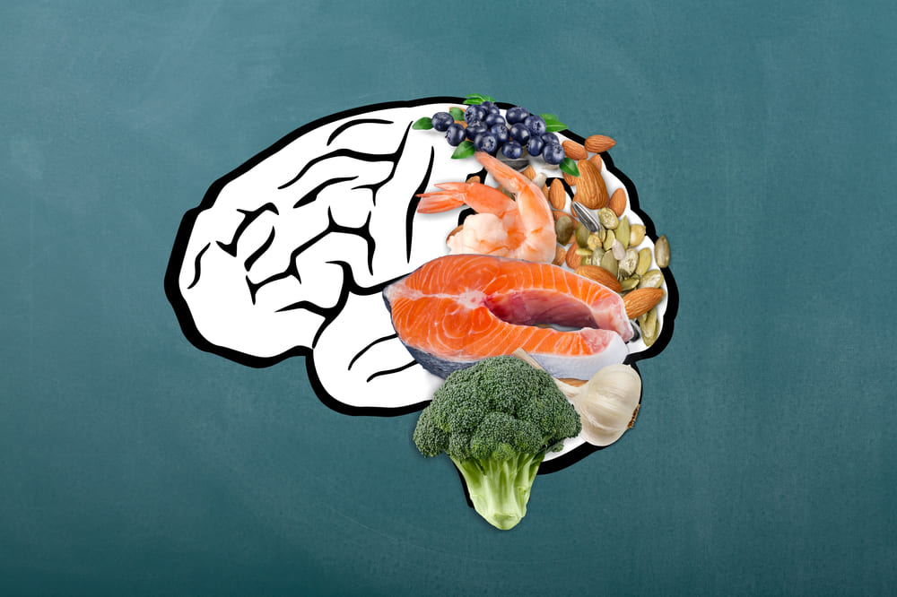 Neurociencia, Neuroplasticidad Cerebro alimentación.