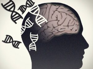 inflamación crónica Alzheimer