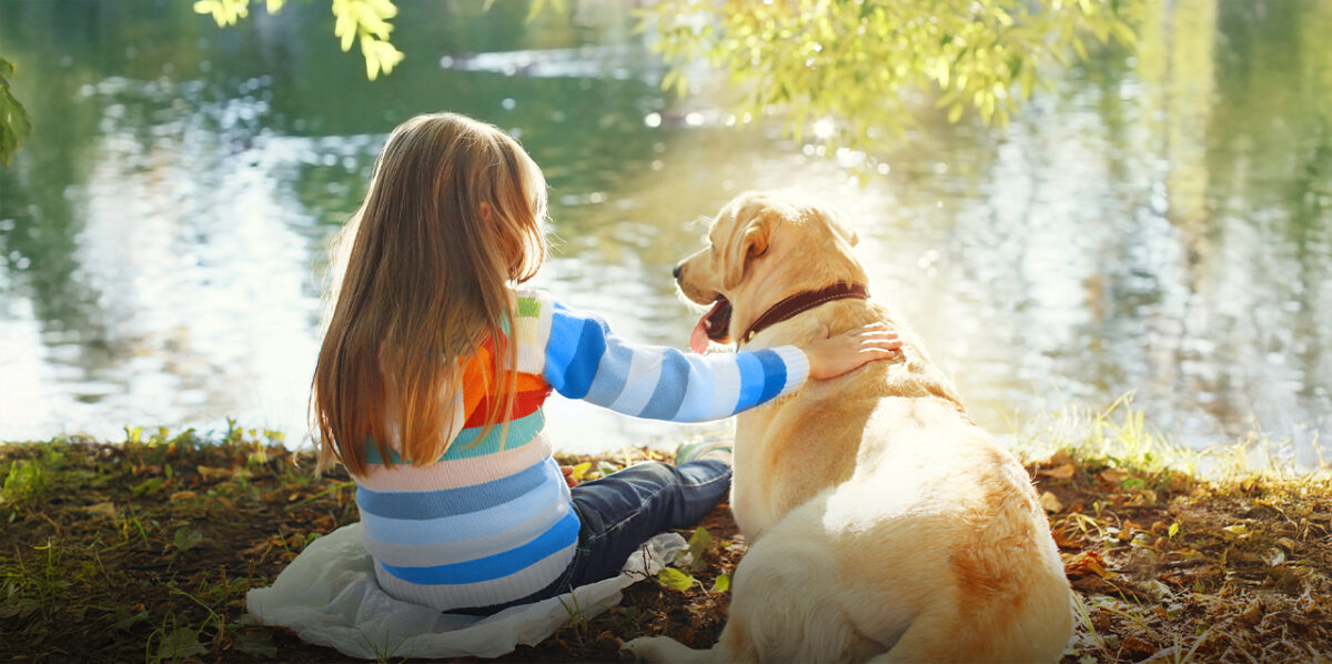 Niños con autismo y animales terapéuticos: un vínculo sin palabras