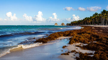República Dominicana frente al desafío del sargazo