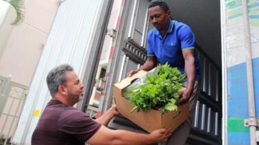 La FAO reconoce el liderazgo de República Dominicana tras su salida del mapa del hambre
