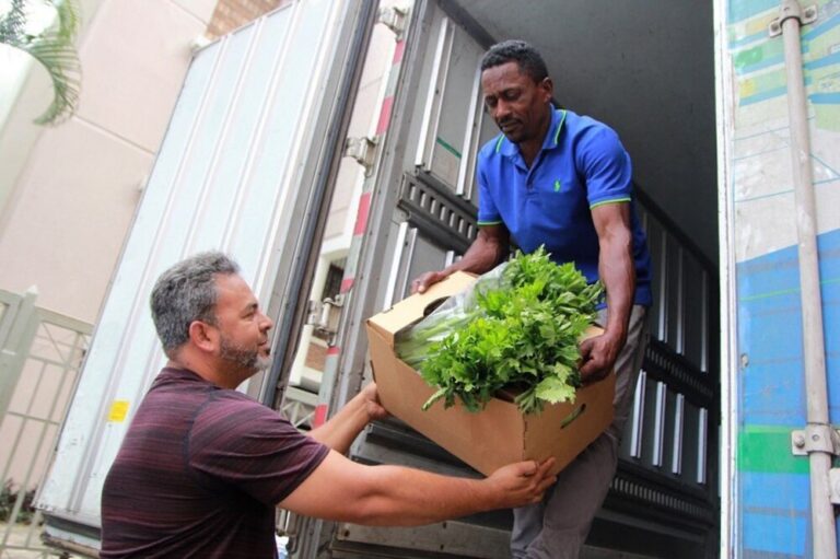 La FAO reconoce el liderazgo de República Dominicana tras su salida del mapa del hambre