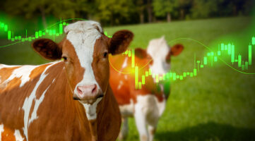 Los 10 mayores exportadores de carne vacuna en 2025