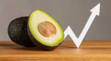 Agrotech: Ranking mundial de países más productores de aguacate