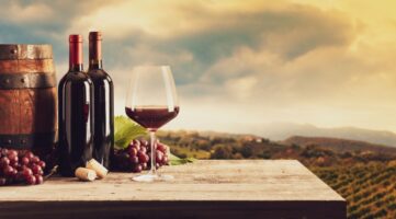 Ranking: Los 10 mejores países para el enoturismo