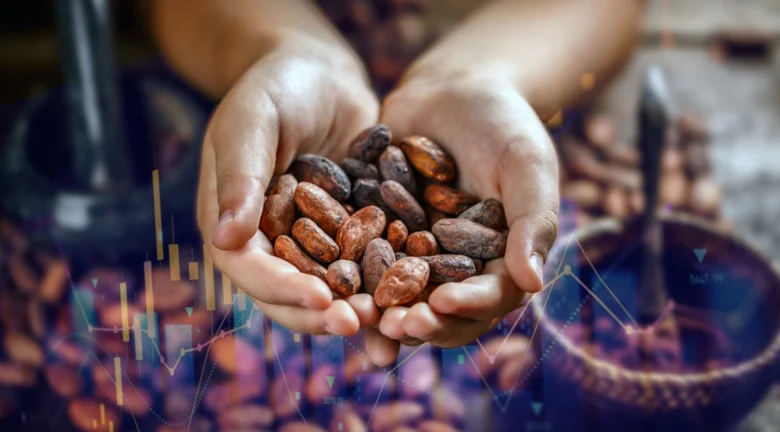Cacao vuelve a subir y supera los US$ 6,300 por tonelada