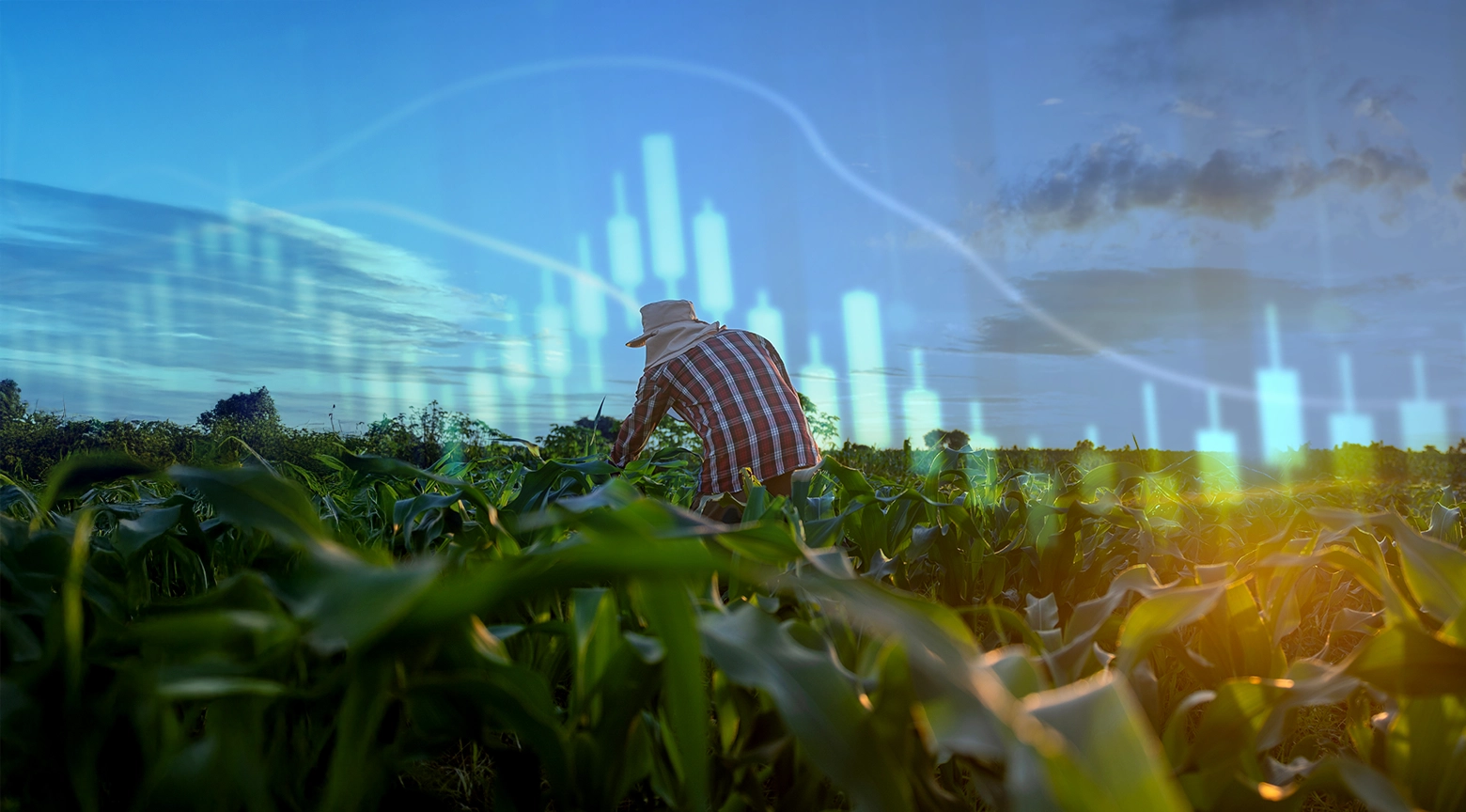 Agricultor trabajando en un campo verde con gráficos financieros superpuestos en el cielo.
