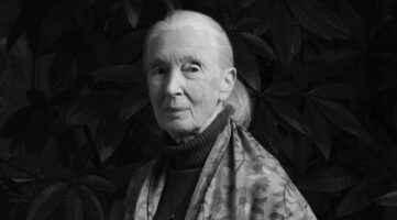 La última aventura de Jane Goodall: la mujer que nos enseñó todo sobre primates