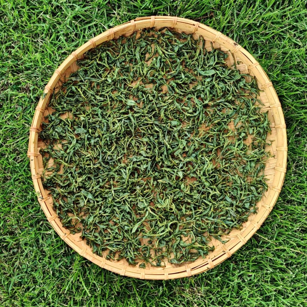 Té orgánico
