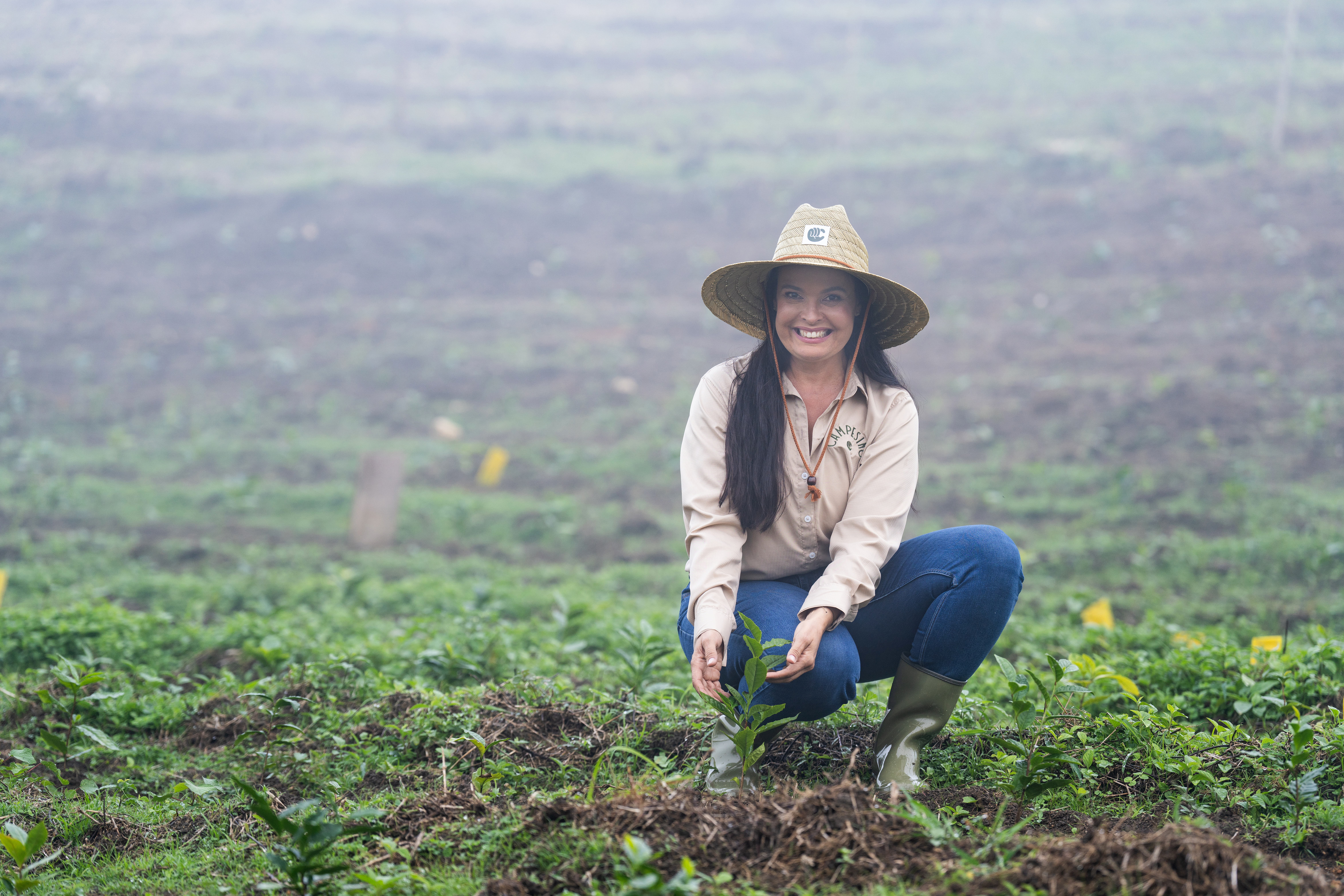 Campesino Tea RD: la visión de Yakaira Díaz en el camino sostenible