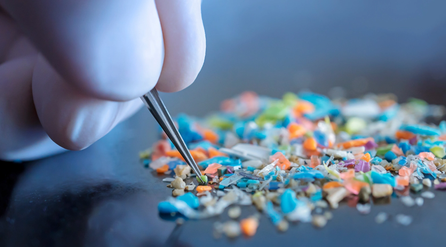Mano con guante sostiene una pinza que examina fragmentos de microplásticos de colores sobre una superficie.