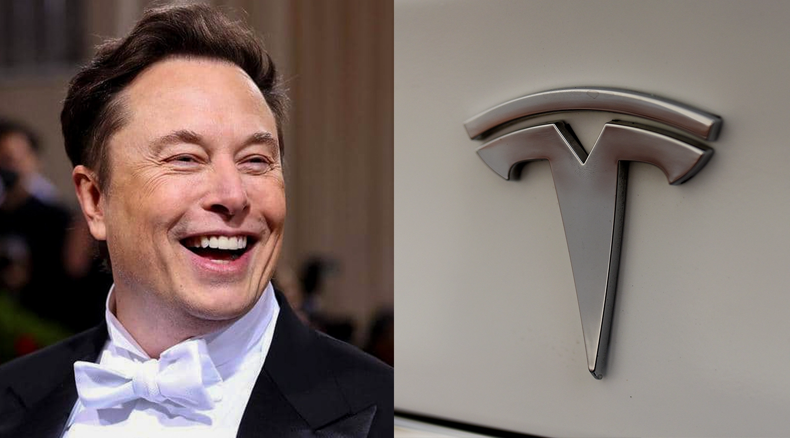 Elon Musk sonriente junto al logotipo cromado de Tesla, representando el vínculo entre el empresario y la compañía automotriz.