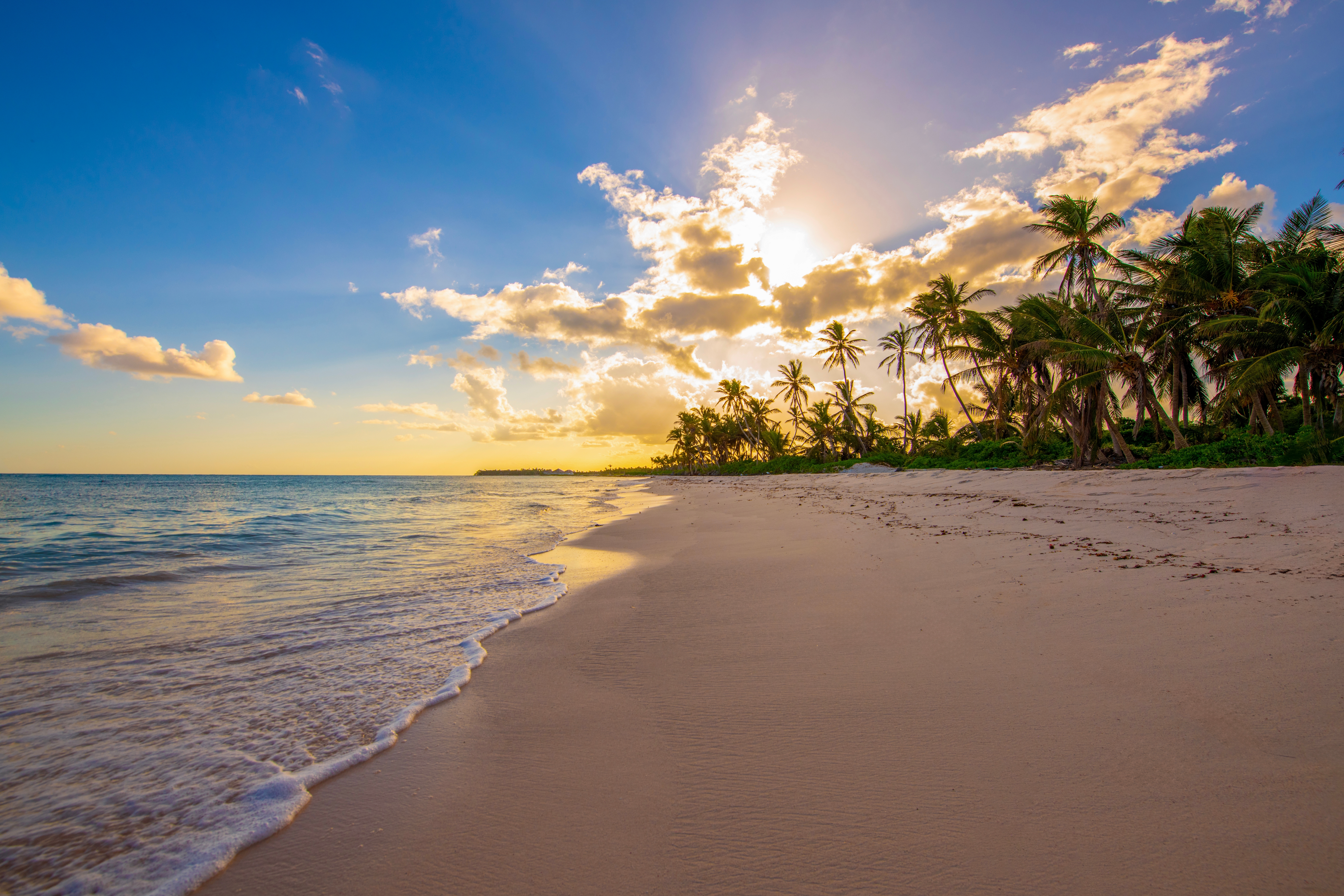 Playa tropical al atardecer, con palmeras, arena dorada y el mar en calma bajo un cielo iluminado por el sol.