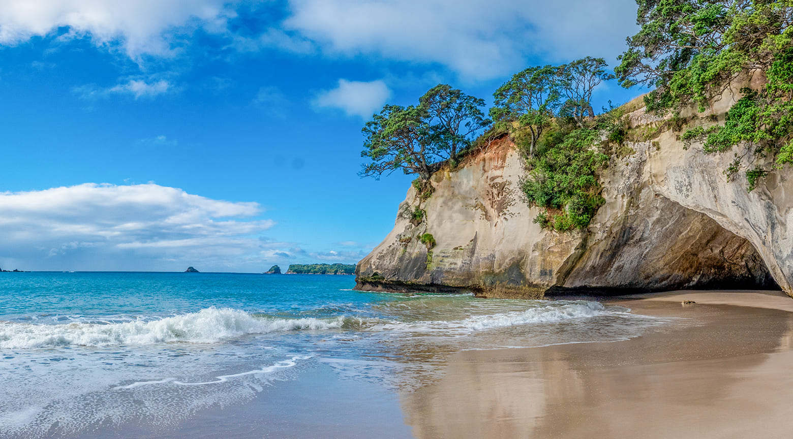 Playa de Cathedral Cove en Nueva Zelanda con acantilados blancos, vegetación y el mar azul.