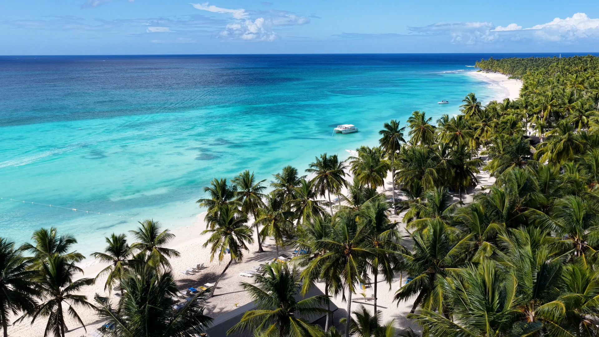 Vista aérea de una playa de arena blanca en República Dominicana, con palmeras alineadas junto a aguas turquesas y varias embarcaciones cerca de la costa.