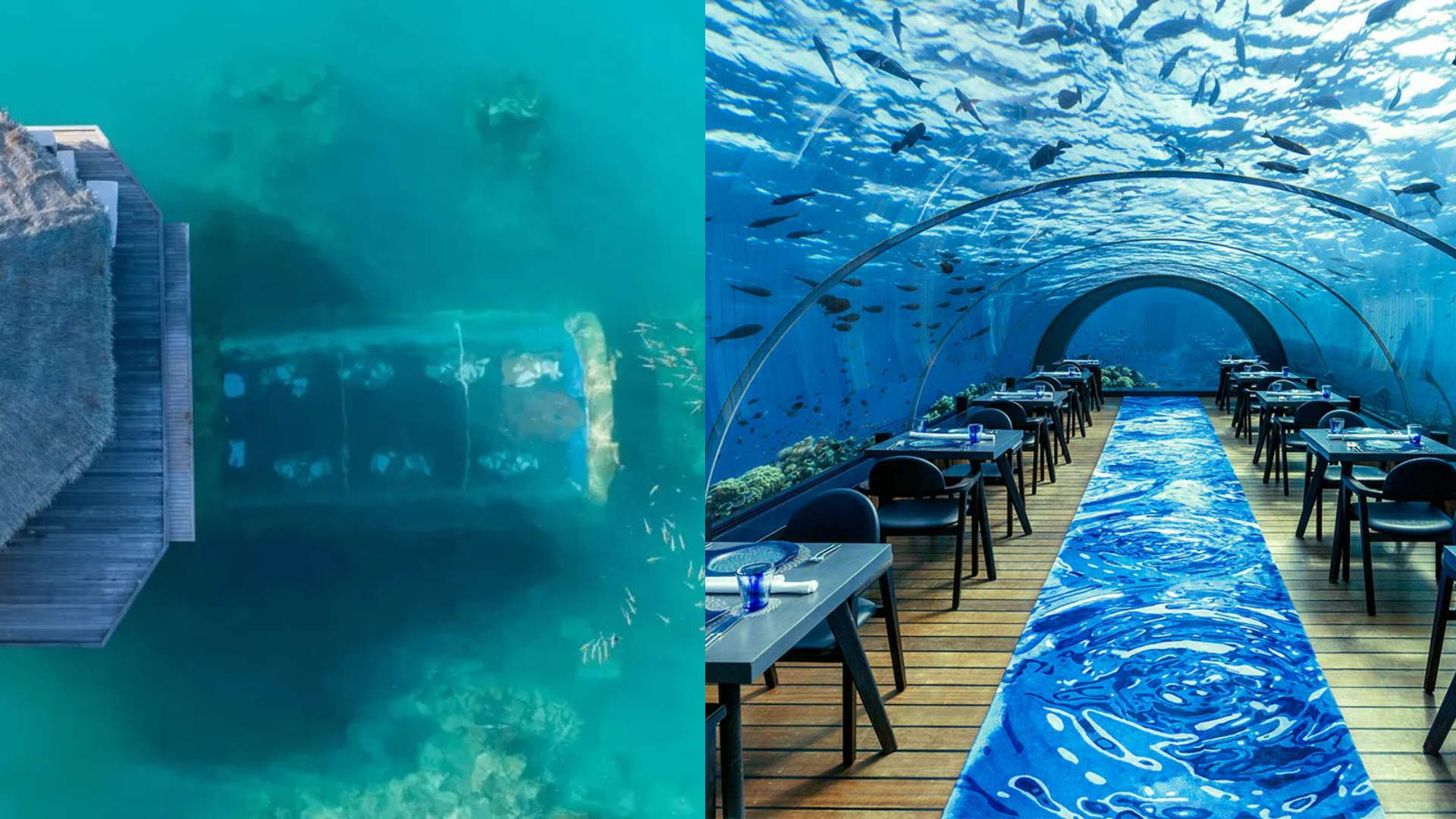 Vista aérea y panorámica de un restaurante submarino con túnel acrílico, mesas alineadas y peces nadando alrededor en aguas cristalinas.