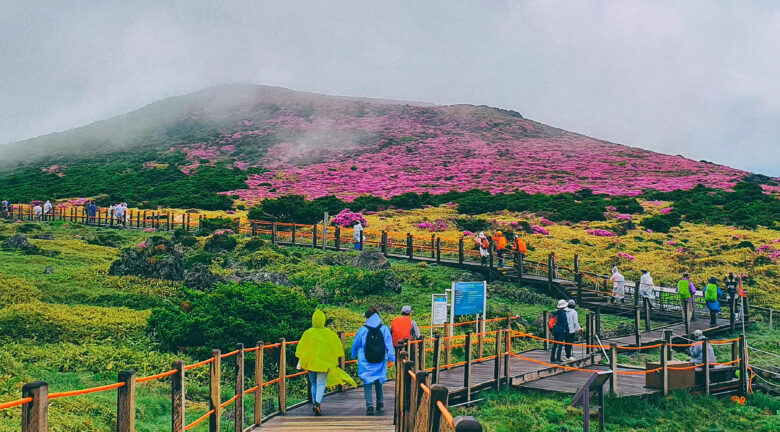 Jeju, la isla volcánica que conquista desde el mar de Corea