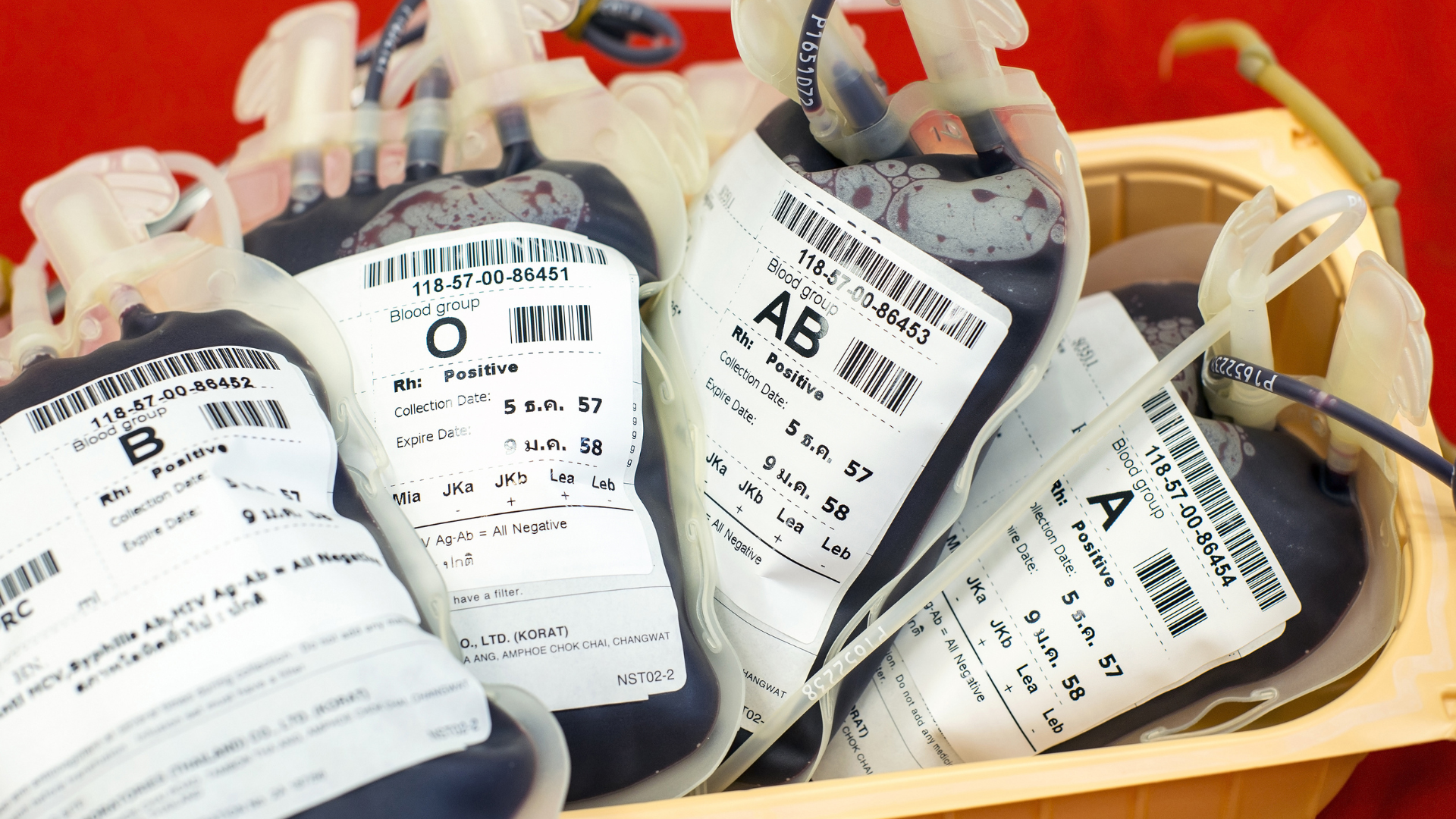Bolsas de sangre etiquetadas con distintos grupos sanguíneos como A, B, AB y O almacenadas en un contenedor médico.
