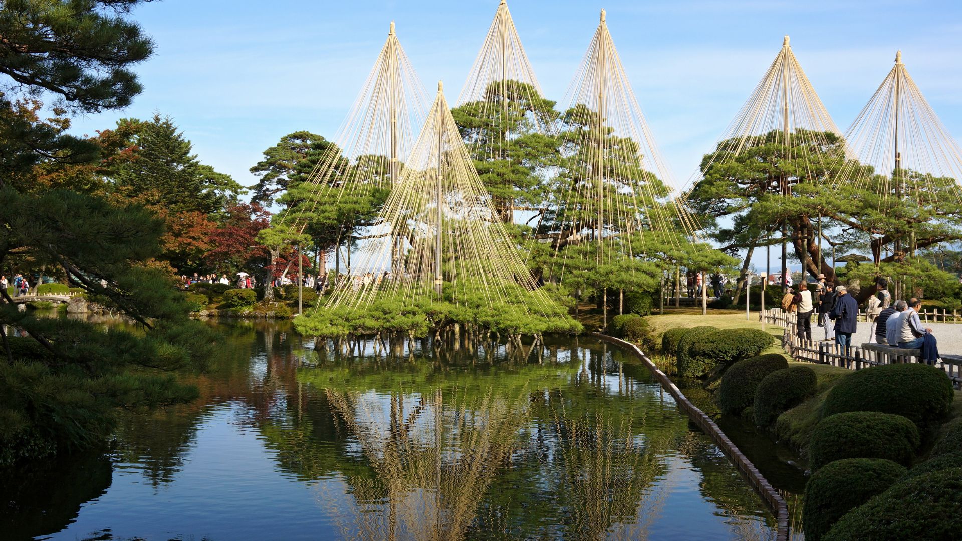 Jardín japonés con estanque reflectante y pinos sostenidos con cuerdas en forma cónica, mientras visitantes caminan por un sendero.