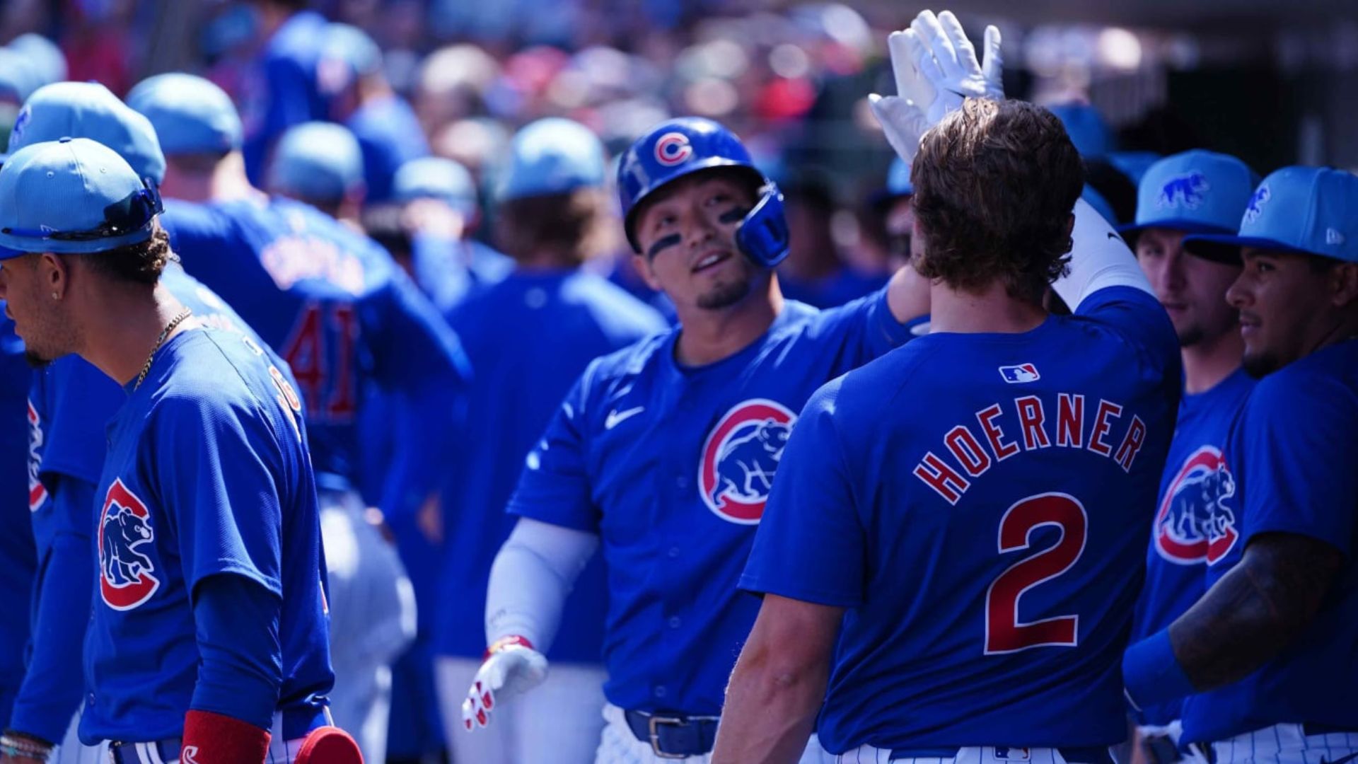Jugadores de los Chicago Cubs celebrando un logro, con el uniforme azul y el logo de los Cubs en el pecho, en el dugout.