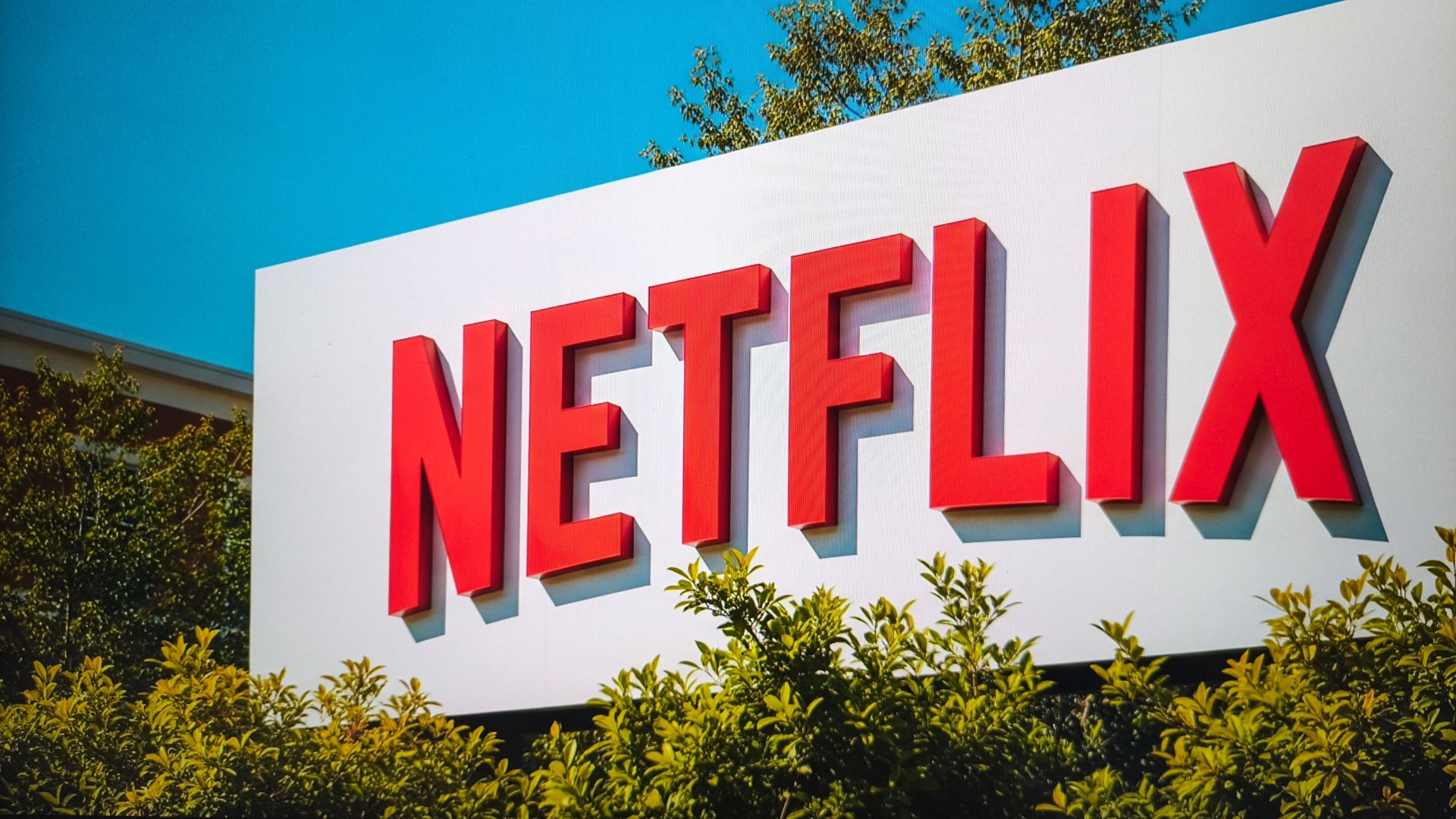 Cartel con el logo de Netflix, destacado en rojo sobre fondo blanco, con vegetación en primer plano.