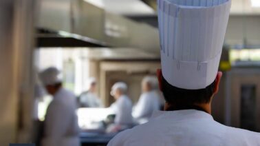 Sectores estrella para emprender en RD
