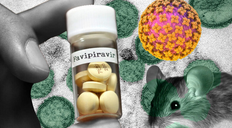 Japón envía favipiravir a Reino Unido para enfrentar al hantavirus