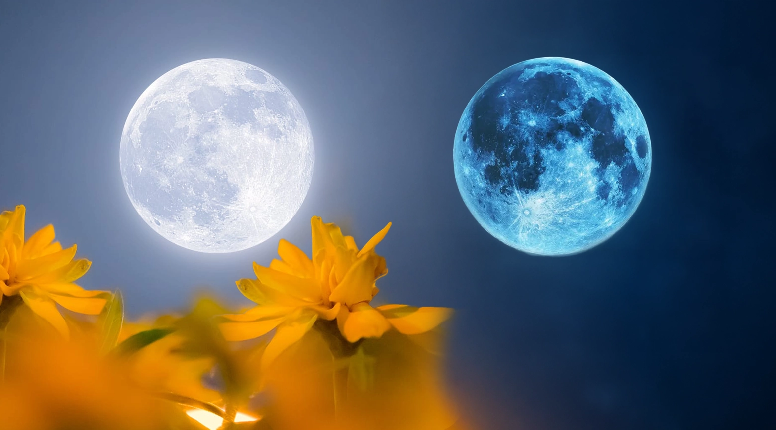Una imagen digital que muestra dos lunas, una blanca (Luna de las Flores) y una azul (Luna Azul), con flores amarillas en primer plano.