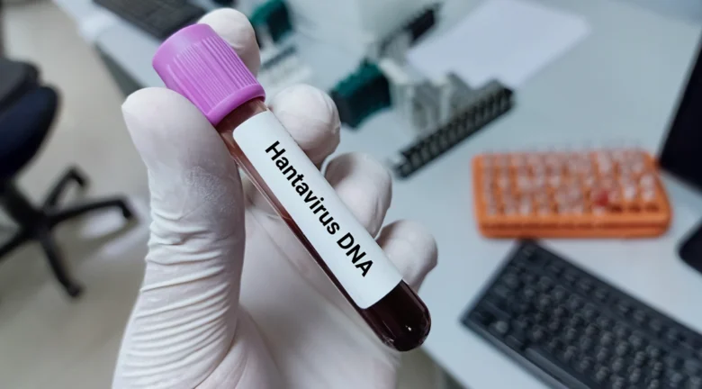 Qué es el virus de los Andes, la peligrosa variante de hantavirus que sí contagia personas