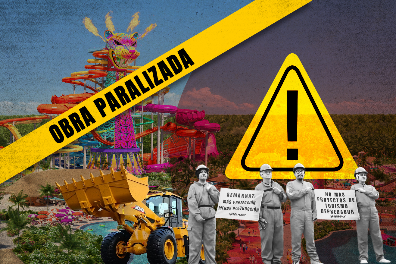 Se cae el megaproyecto turístico 'Perfecto Day’ en el Caribe mexicano