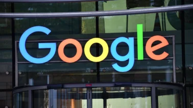 Google quiere liberar 64 millones de mosquitos infectados con bacterias en Estados Unidos