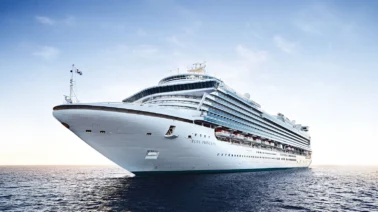Alerta sanitaria en EE. UU.: Más de 100 contagiados por norovirus en un crucero de California